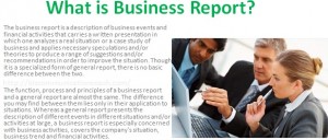 What is Business Report
