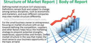 Structure of Market Report